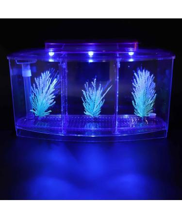 Aquarium Fish Tank Transparent Aquarium Fish Tank LED Acrylic Three Divisions Breeding Isolation Box for Small Fishes Mini Breeding Fish Tank (Purple) - Buy Online on GoSupps.com