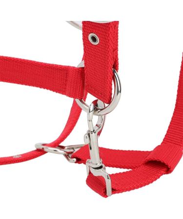 Horse Fly Control Horse Heads 6mm Training Leadership Driving Headpiece - Buy Online on GoSupps.com