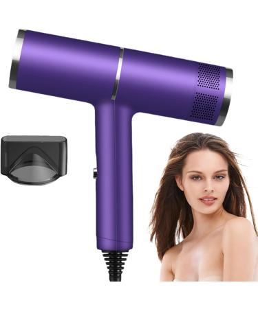 Ionic Hair Dryer Fast Dry Ionic Hair Dryer | High-Speed Blower Hair Dryer Travel Lightweight Hair Blow Dryer for Hotel Household Dormitory Haoying US Purple - Buy Online on GoSupps.com