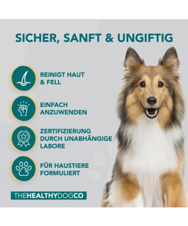 Healthy Dog Co 6-in-1 Natural Dog Shampoo & Conditioner - Odor Control Gentle & Moisturizing for Long Hair - 500ml Puppy Shampoo - Buy Online on GoSupps.com