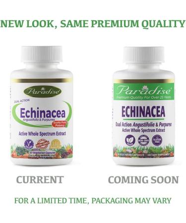 Buy Paradise Herbs Dual Action Echinacea - 30 Vegetarian Capsules for Immune Support - Buy Online on GoSupps.com
