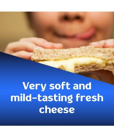 Bega Canned Cheese: Shelf Stable Processed Cheddar, 100% Real Cow Milk, Long-Term Storage Food - 6 Pack - Buy Online on GoSupps.com