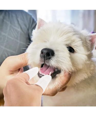 Molain 6-Piece Dog Toothbrush Set - 360 Nylon Finger Brush for Dogs & Cats | Full Surround Bristle for Easy Tongue & Teeth Cleaning (White) - Buy Online on GoSupps.com