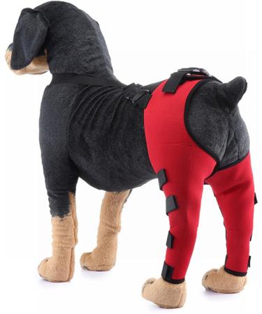 Dog Knee Brace Dog Rear Hind Leg Joint Brace Pet Dog Double Hind Leg Brace Support Belt for Heals Prevents Injuries Sprains Protects Wounds. C Medium - Buy Online on GoSupps.com