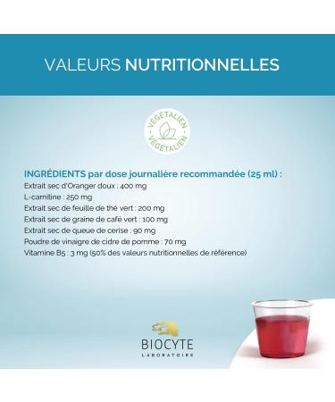 BIOCYTE Morosil Format Liquide Go t Cerise - Morosil 400mg Vinaigre De Cidre Vitamine B5 & Th Vert - Programme 20 Jours - Buy Online on GoSupps.com