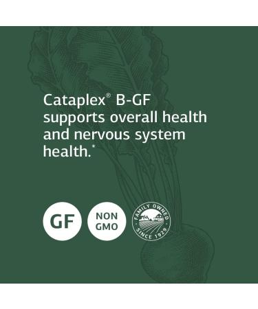 Standard Process Cataplex B GF - 360 Tablets for Metabolic, Cardiovascular & Nervous System Health - Buy Online on GoSupps.com