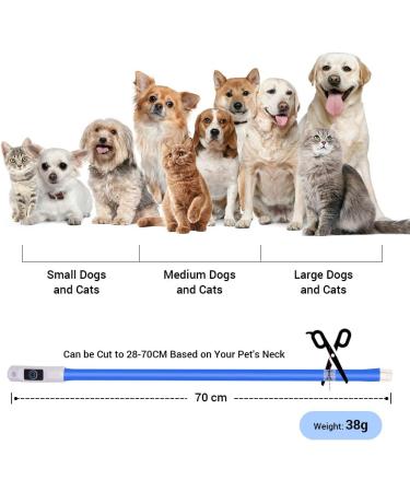 Laroo LED Luminous Dog Band - Adjustable Waterproof USB Collar for Small Medium & Large Dogs and Cats | 3 Modes - Sky Blue - Perfect for Night Safety - Buy Online on GoSupps.com