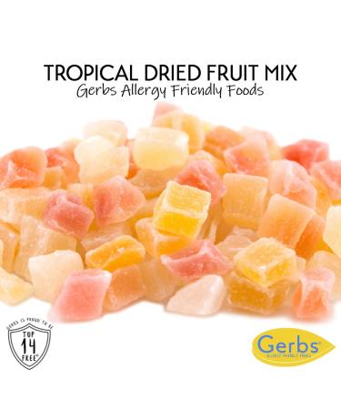 GERBS Tropical Dried Fruit Mix 2 lbs - Top Grade, Allergy Friendly | Made in USA | Resealable Bag | Unsulfured Mango Pineapple Papaya | Gluten Peanut Tree Nut Free - Buy Online on GoSupps.com