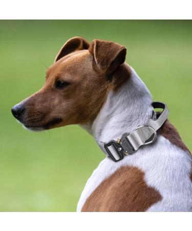 Tspro Premium Adjustable Dog Collar with Handle - Heavy Duty Quick Lock Metal Buckle for Small to Extra Large Dogs (Silver Size L: 47-66cm) - Buy Online on GoSupps.com