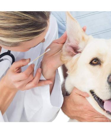 Bamboo Cotton Swabs 200pcs | Double Tipped Wooden Vegan Swabs - Recyclable & Biodegradable | Ear & Makeup Cleaning - Buy Online on GoSupps.com