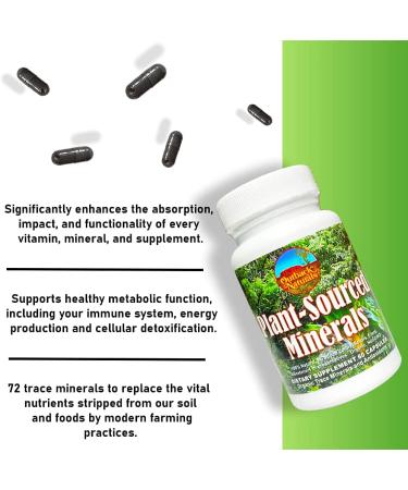 Organic Humic and Fulvic Acid Supplement - 72 High Absorption Trace Minerals - Promotes Hydration, Electrolyte Balance, Gut Health, Cognitive Function & Immune System Support - 60 Count - Buy Online on GoSupps.com