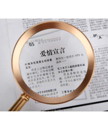 Magnifying Glass 20X Elderly Reading HD Student High Magnification Portable Hand-held Magnifying Mirror Large Diameter Household Reading A Newspaper Warm as Ever Silver Large - Buy Online on GoSupps.com