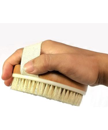 Natural Bristle Dry Body Brush for Lymphatic Drainage and Exfoliation - Stimulate Blood Circulation, Remove Toxins and Cellulite - Buy Online on GoSupps.com