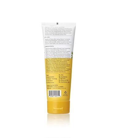 Alaffia Neem Turmeric Conditioner - Restores Hair & Moisturizes Scalp with Fair Trade Shea Butter, 8 fl oz - Buy Online on GoSupps.com