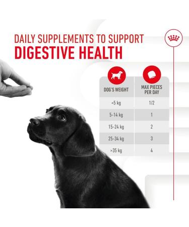 Royal Canin Puppy Supplement for Immunity & Digestion Soft Chews 100g - Buy Online on GoSupps.com