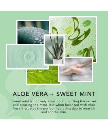 Sunday Rain Aloe Vera & Gentle Mint Body Scrub for Dry Skin Vegan & Cruelty Free 265g - Buy Online on GoSupps.com