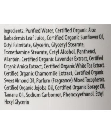 Primal Elements Body Lotion Moisturizing Shea Butter Cream for Hands & Body 8 oz - Cupcake - Buy Online on GoSupps.com