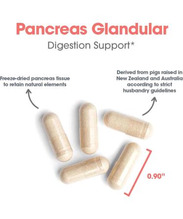 Allergy Research Group ARG Pancreas Natural Glandular - Supports Healthy Pancreas Immune & Digestive Activity - 425 mg per Serving - Freeze Dried Tissue from Pork - 60 Servings - 60 Capsules 60 Count (Pack of 1) - Buy Online on GoSupps.com