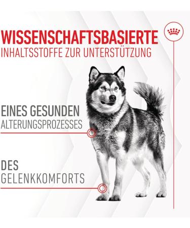 Royal Canin Joint & Ageing Chews | Double Pack | 2 x 240 g | Snacks for Adult Dogs of All Sizes & Breeds | In Resealable Bag | Developing with Veterinarians | With Green-lipped Mud - Buy Online on GoSupps.com