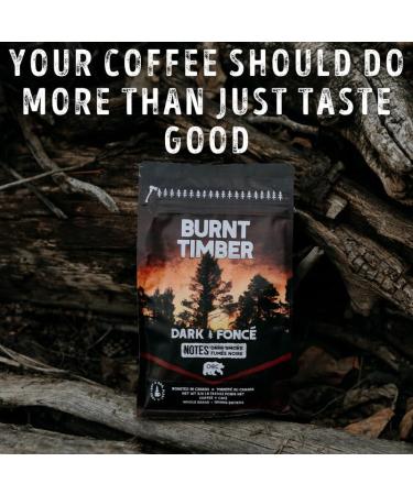 Canadian Heritage Roasting Company Coffee - Burnt Timber - Dark Roast Whole Bean Coffee - A Cheeky Mixture Of Central American And Indonesian Beans Combine To Create This Smokey Roast - Perfect For French Press Drip Espresso Mocha Pot - 340g Burnt Timber  - Buy Online on GoSupps.com