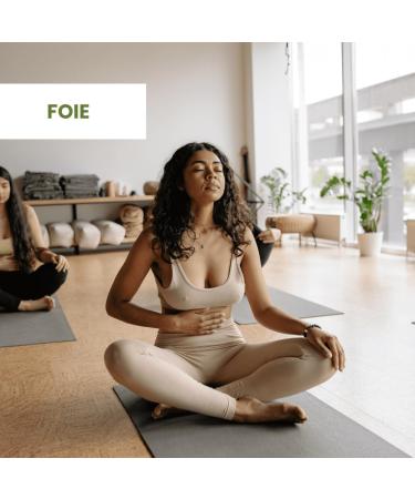 MILK THISTLE ORGANIC 60 Capsules - Le Pr Vert - Food Supplement of 50 Capsules - Hepatic and Biliary Disorders - Made in France - Buy Online on GoSupps.com