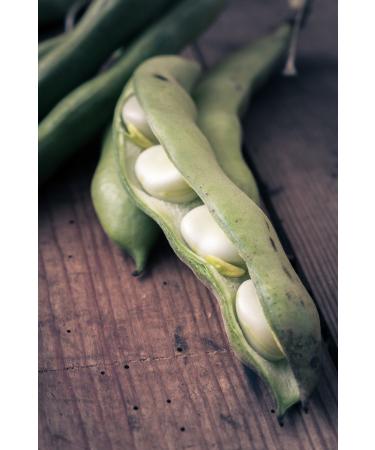 Organic Cannellini Beans 3lb - Non-GMO White Kidney Beans | Vegan & Kosher | High Fiber & Protein | Ideal for Soup, Salad & Chili - Buy Online on GoSupps.com