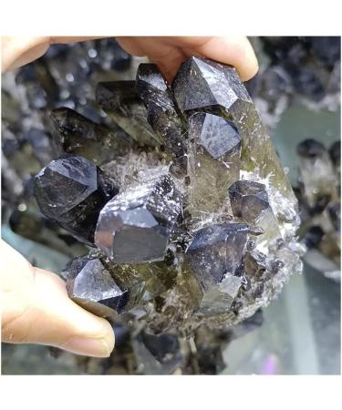 Natural Crystal 1pc Natural Smoky Quartz Cluster Decoration Black Crystal Cluster Reiki Cluster Resistant Decoration Crafts Power Stone Crystal Crystal Cluster (Size : 450-500g) - Buy Online on GoSupps.com