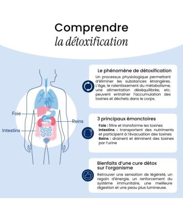 NaturAvignon Laboratory | Food Supplement | Detox Liver Kidneys Intestines | Black Radish Birch & Lemon Juice Organic | S - Buy Online on GoSupps.com