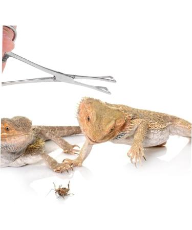COLLBATH Reptile Feeding Clip Bearded Dragon Feeding Tongs Snake Tong Stainless Steel Silver - Buy Online on GoSupps.com