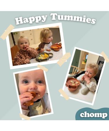 Suction Plate Baby Cutlery Set Chomp - Includes Baby Toothbrush, Weaning Set, Spoon, Fork, Suction Bowls - Rose Pink | Dishwasher Safe - Buy Online on GoSupps.com