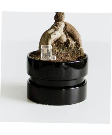 BESPORTBLE 4pcs Pet Water Feeder Ants Water Bowl Ants Water Feeding Bowl Mini Liquid Feeder Ants Feeder Plastic - Buy Online on GoSupps.com