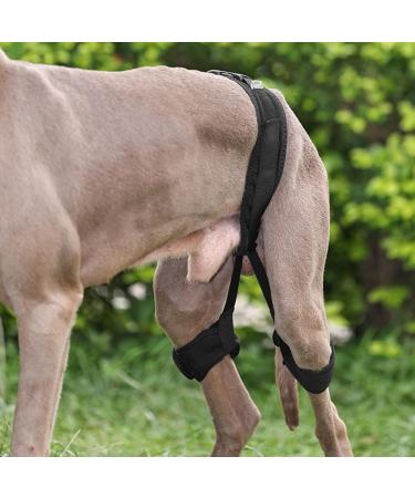 DONGKER Dog Knee Brace Adjustable Dog Knee Brace for Dogs Hind Legs Recover - Buy Online on GoSupps.com