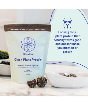 Niyama Clean Plant Protein Powder | Delicious and Smooth Vegan Protein Powder from Organic Peas | Paleo Keto Soy-free Gluten-free No Stevia Zero Sugar | Chocolate Protein Powder (14 servings) (( Pack of 1 ) 424 g Chocolate) Chocolate ( Pack of 1 ) 424 g - Buy Online on GoSupps.com