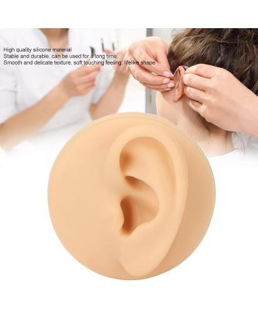 Silicone Ear Model for Earrings | Ear Acupuncture & Jewelry Display | Perfect for Training & Teaching - Buy Online on GoSupps.com