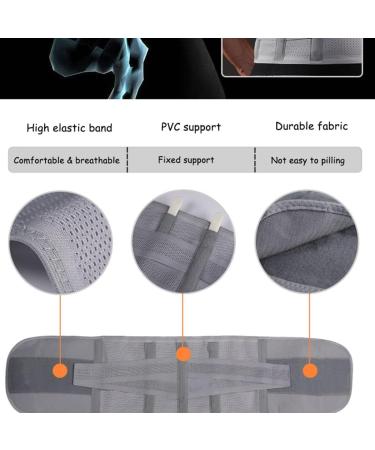Orthopedic Waist Back Support Belt Trainer - Corset Sweat Brace for Spine Relief | Sizes S-XL - Buy Online on GoSupps.com