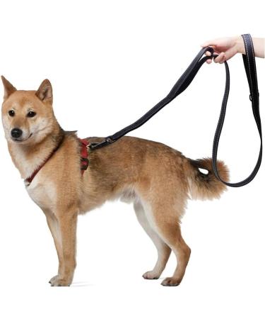 Dog Leashes for Large Dogs Heavy Duty - 1.5/1.8M Traffic Padded 2 Handles for Extra Control Durable Leashes for Large Medium Breed Dogs Reflective Strong Dog Lead (1.8M/6FT) - Buy Online on GoSupps.com