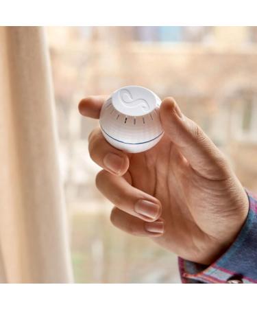 Shelly H&T - Compact White Moisture & Temperature Sensor | Smart Home Automation | Hygrometer & App Control | Over 1 Year Battery Life - International Shipping - Buy Online on GoSupps.com