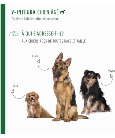 V-INTEGRA Senior Dog - Complete Supplement Rich in Vitamins and Minerals for Homemade and Barf Ration of Senior Dogs - 200 g - Made in Italy - Buy Online on GoSupps.com