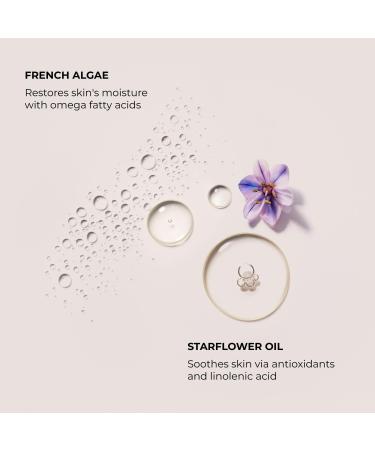 Laura Mercier Serum Body Cream Ambre Vanille 13.5 Ounce (Pack of 1) - Buy Online on GoSupps.com