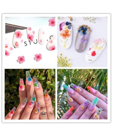 Changar Nail Sticker Set | 3D Dried Flowers for Nail Art | DIY Handicrafts & Synthetic Resin Five Petals - Buy Online on GoSupps.com