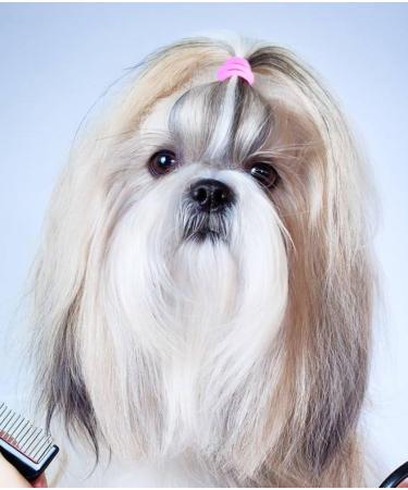 600 YOY 3/4 Pet Dog Stretchy Rubber Bands - Dog Grooming Accessories for Top Knots, Ponytails, Braids - Buy Online on GoSupps.com