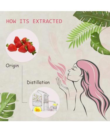 2-Pack Strawberry Essential Oil - 100% Pure Organic Natural Plant (Fragaria x ananassa) Strawberry Oil for Diffuser Aroma Spa Massage Yoga Perfume Body - 2x10ML - Buy Online on GoSupps.com