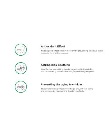 Cica 100 Soothing Ampoule - 30ml | Soothing Skincare for Irritated Skin | International Shipping Available - Buy Online on GoSupps.com