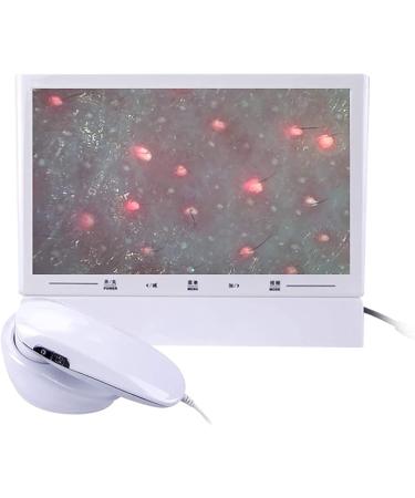 Scalp Detector 11 Inch Hair Follicle Facial Skin Oil Moisture HD LCD Screen Microscope Tester 200X/50X Dual Lens Skin Health Detection Machine - Buy Online on GoSupps.com