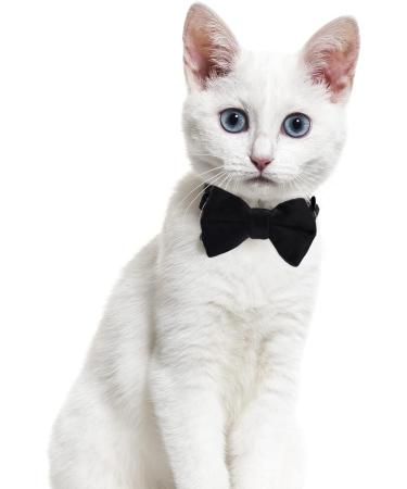 2 Pcs Velvet Bowtie Cat Collar with Bell Adjustable Breakaway Cat Collars Kitten Small Puppy Safety Bow Tie Solid Wedding Red Cat Collar for Boy Girl Cats - Buy Online on GoSupps.com