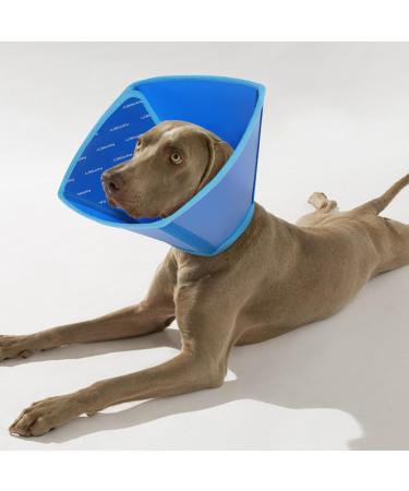 Buy XL Blue Neck Collar for Large Dogs | Post-Op Leak Protection Funnel - After Castration Recovery - Buy Online on GoSupps.com