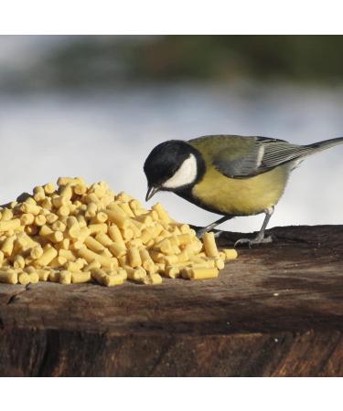 Suet to Go Grab N Go Insect Suet Pellets 3kg - Buy Online on GoSupps.com