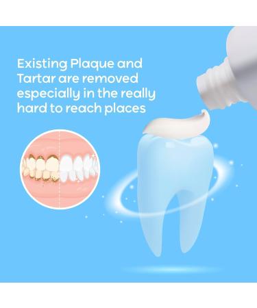 Plaque & Tartar Remover Toothpaste for Teeth: Removes Plaque & Controls Tartar Build-up - Long-Lasting Fresh Breath Deep Cleansing & Gum-Friendly Toothpaste for Adults & Kids Mint Mint 2 Ounce (Pack of 1) - Buy Online on GoSupps.com