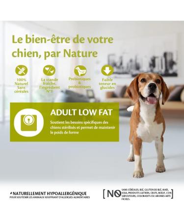 Wellness Core Low Fat Dry Dog Food for Large and Medium Breeds Low in Fat Natural and Grain-Free Turkey 1.8 kg - Buy Online on GoSupps.com