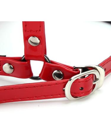 Yuyte Women s High Heels Laces - Removable Shoe Straps & High Ankle Straps in Red | Perfect Accessory for High Heels & Sandals - Buy Online on GoSupps.com